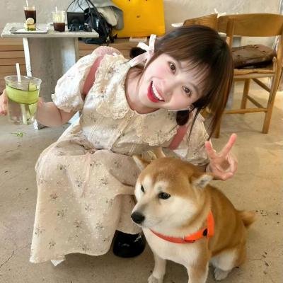 颠父人生