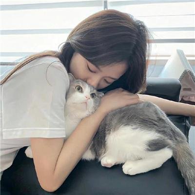 艳窟大扫荡